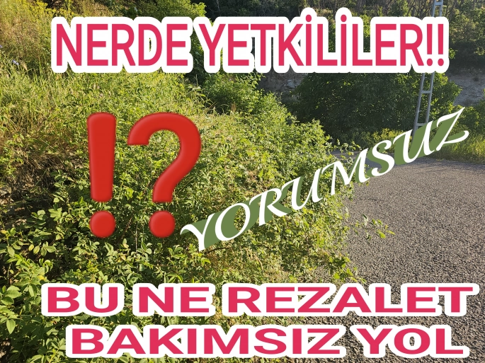 İSPİR YEŞİLYURT KÖYÜ MAHALLE YOLU KADERİNE TERK EDİLMİŞ BİR VAZİYETTE AĞAÇ YAPRAKLARINDAN DOLAYI GÖRÜŞ MESAFESİ YOK !! 